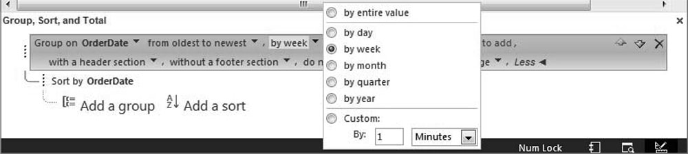 OrderDate is a Date/Time field, so the grouping options are relevant for date and time data.