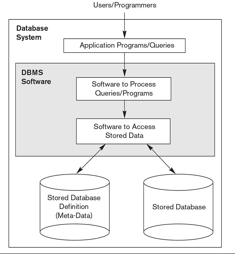 Database Systems Table Components 