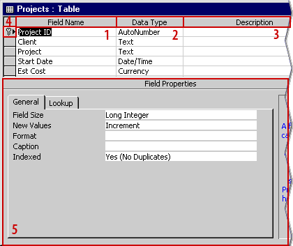 table design view access