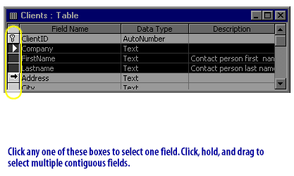 Click any one of these boxes to select one field. Click hold and drag to select multiple contiguous fields.