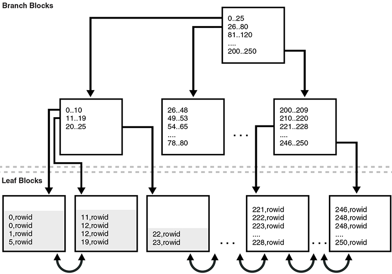 Figure5-1 Index Before Coalescing