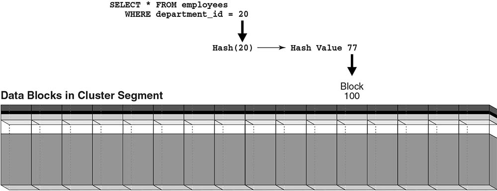 Hash cluster segment as a horizontal row of blocks. As shown in the graphic, a query can retrieve data in a single I/O.