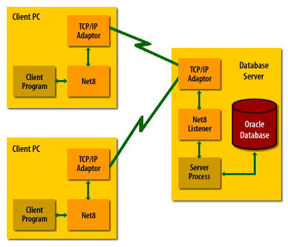 Oracle Net Client-Pcs and Database(Relationship)