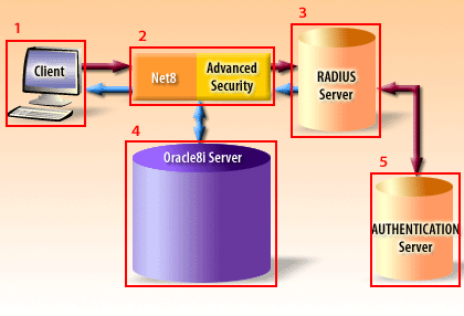 Radius Oracle