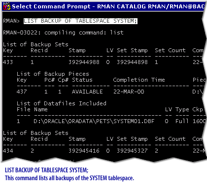 oracle tablespace backup backups