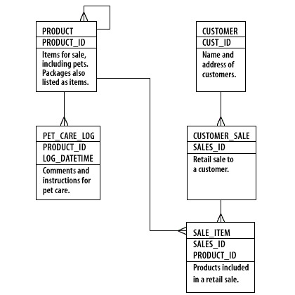 Database Schema consisting of PRODUCT, CUSTOMER, PET_CARE_LOG, CUSTOMER_SALE, AND SALE_ITEM tables