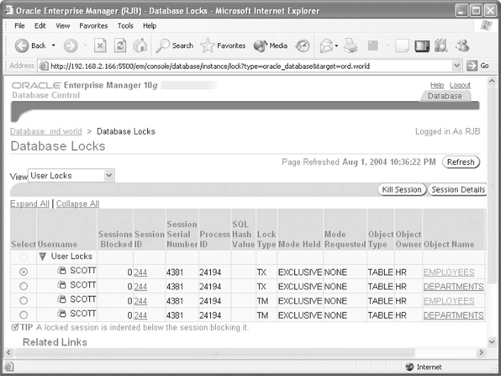 The Database Locks screen in EM Database Control